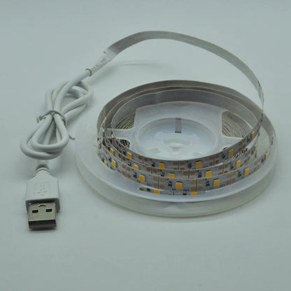 Led Lights